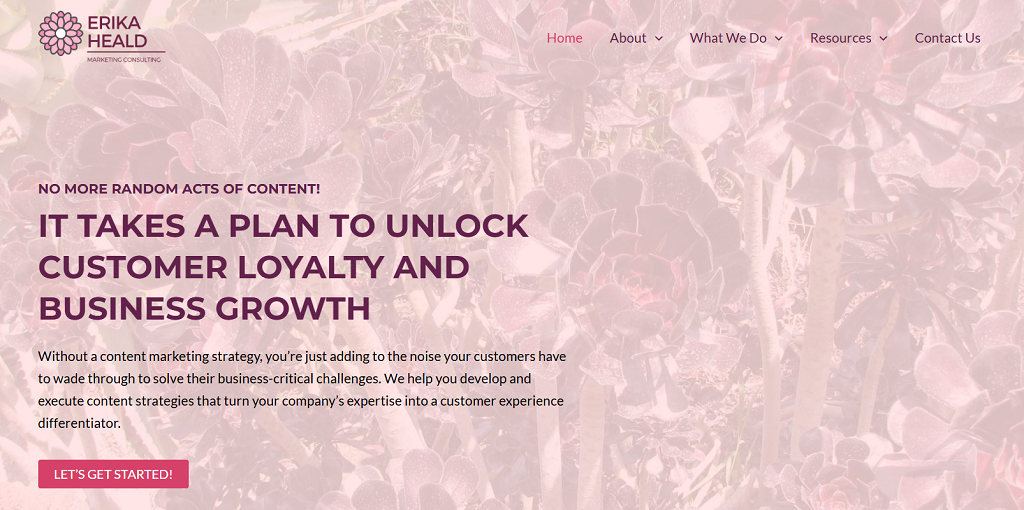 Erika Heald Consulting website main page