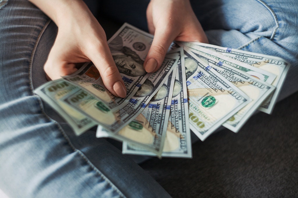 How much development cost